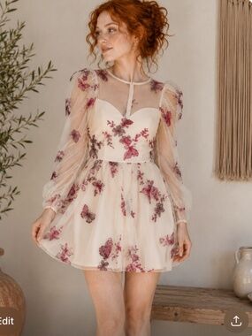 Sheer Puff Sleeve Butterfly Embroidered Mini Dress - Blush & Berry